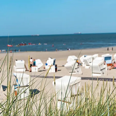 Kleiner Strandfloh ヴァンガーオーゲ