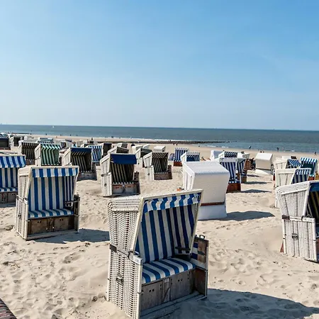 Kleiner Strandfloh *