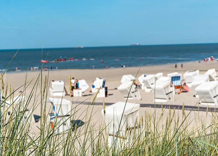 Kleiner Strandfloh Wangerooge
