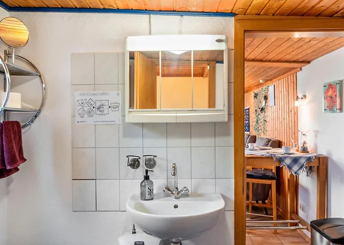 Kleiner Strandfloh Wangerooge